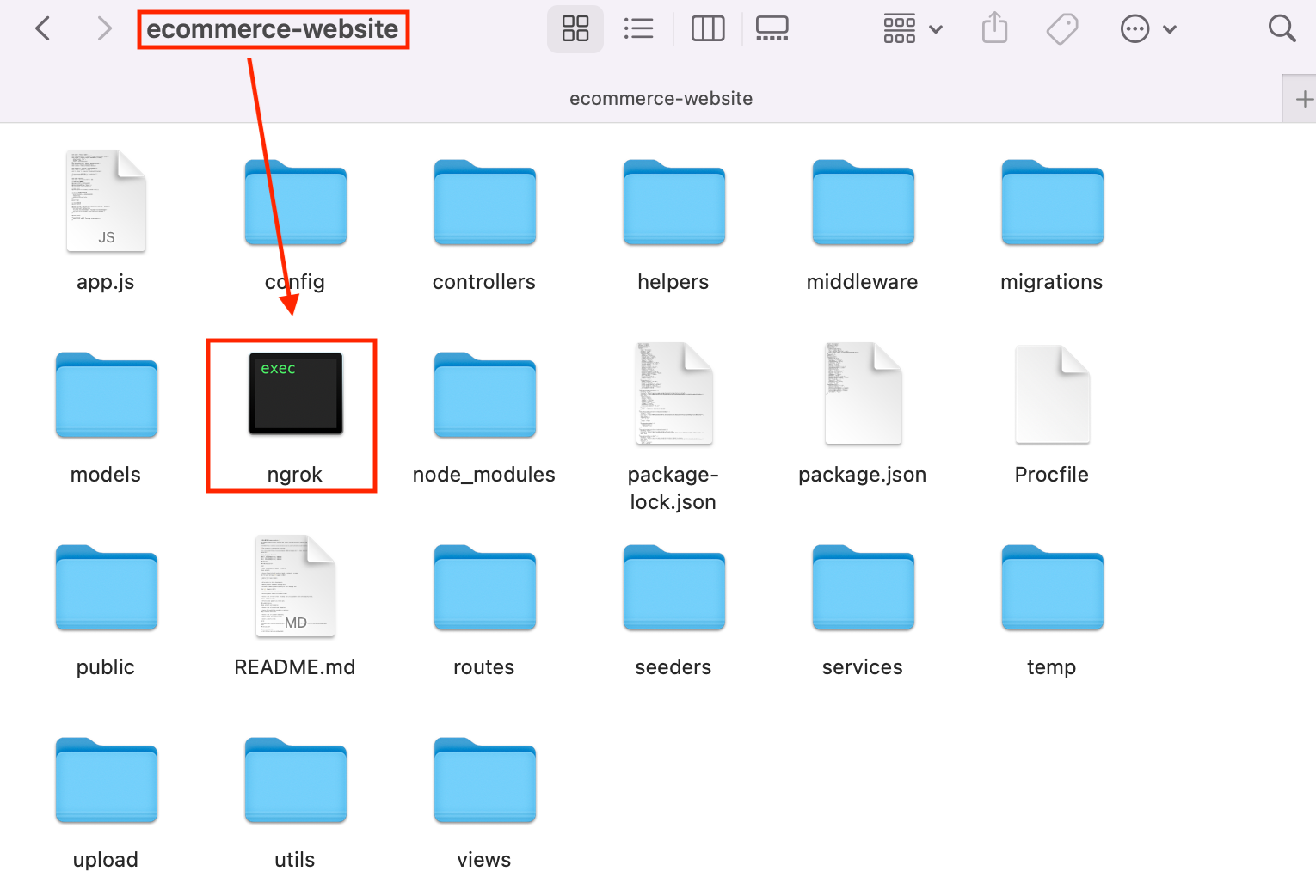 Move ngork in project folder